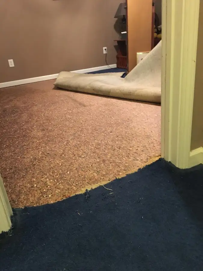 Carpet pad removal revealing water damage during Drying & Dehumidification in Fox Lake